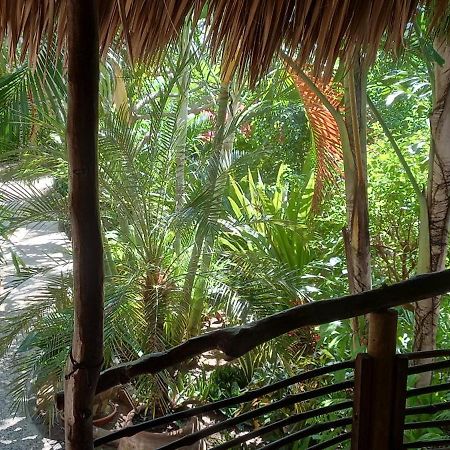 Posada Olivo Mazunte Exteriér fotografie