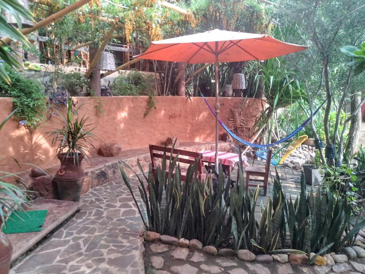 Posada Olivo Mazunte Exteriér fotografie