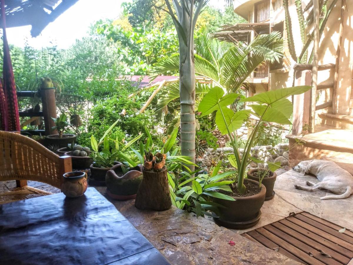Posada Olivo Mazunte Exteriér fotografie