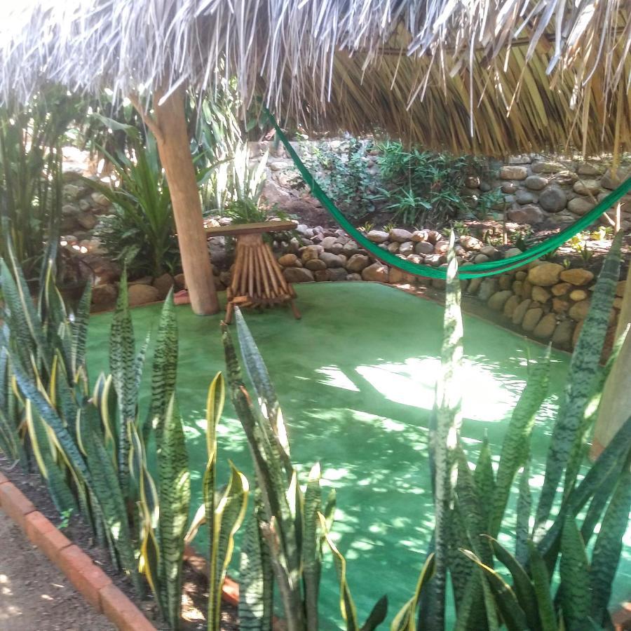 Posada Olivo Mazunte Exteriér fotografie