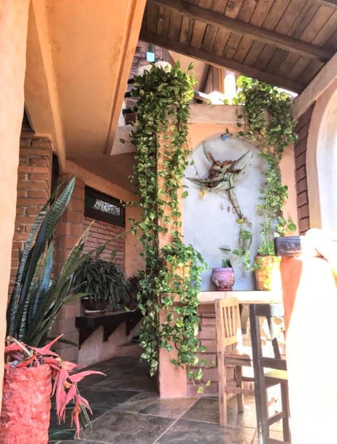 Posada Olivo Mazunte Exteriér fotografie