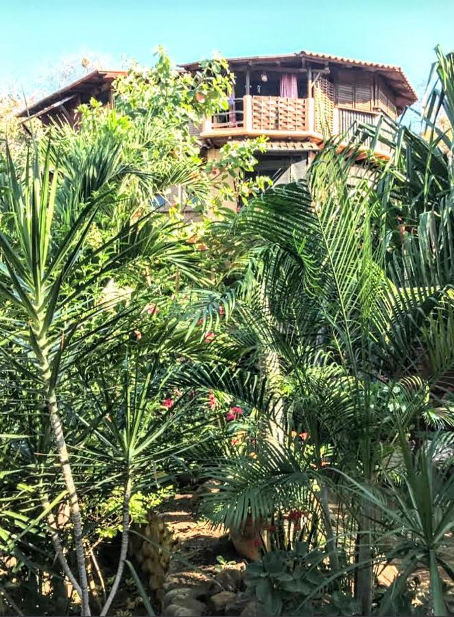 Posada Olivo Mazunte Exteriér fotografie