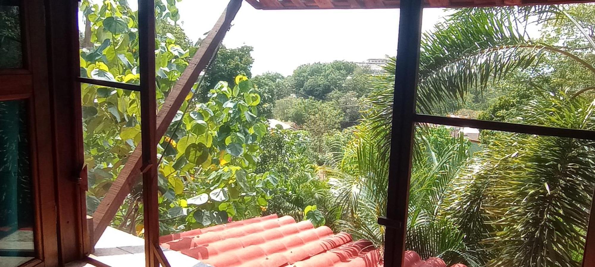 Posada Olivo Mazunte Exteriér fotografie