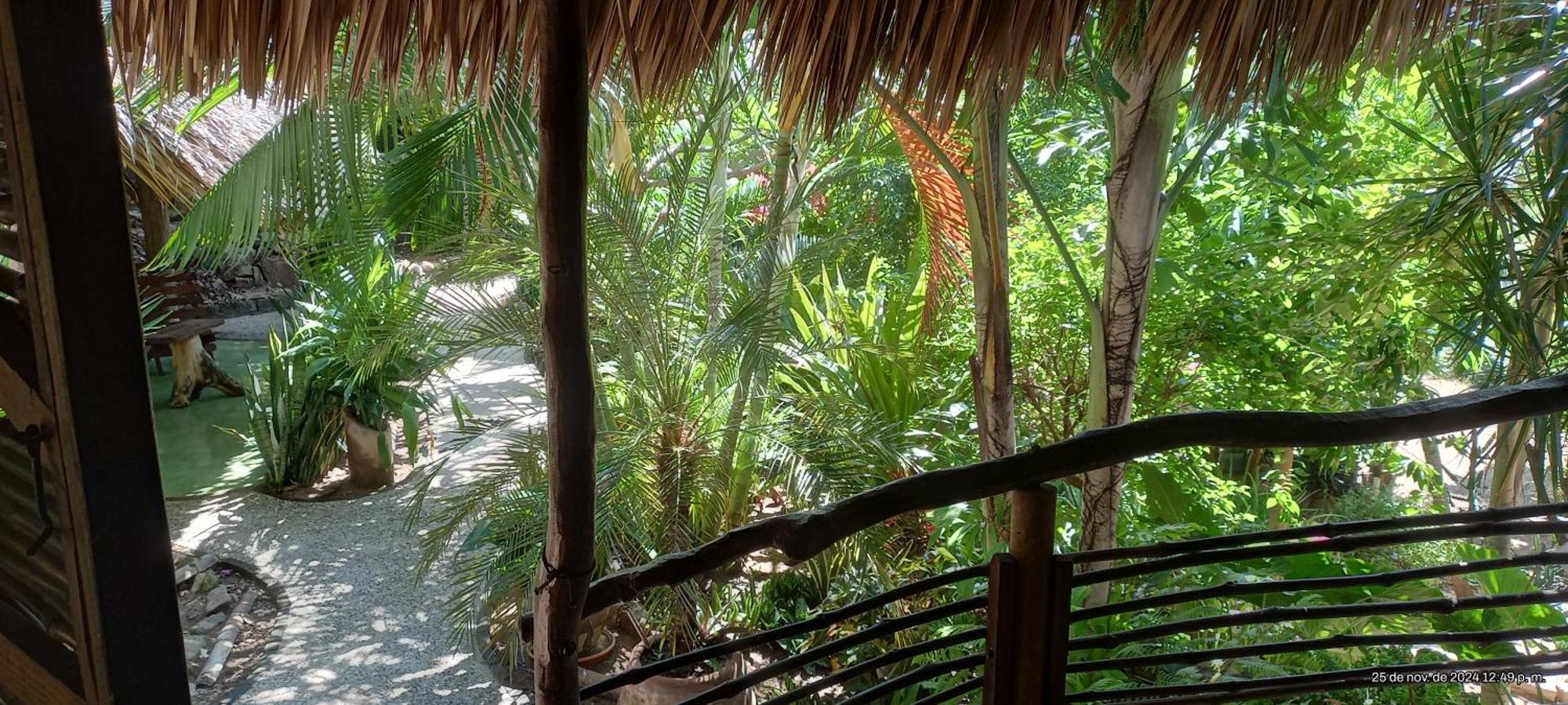 Posada Olivo Mazunte Exteriér fotografie