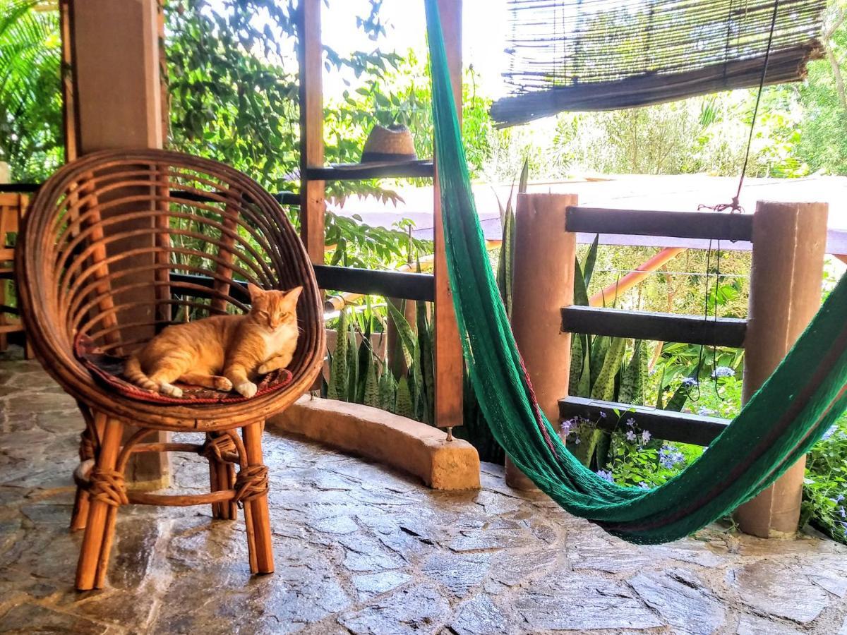 Posada Olivo Mazunte Exteriér fotografie